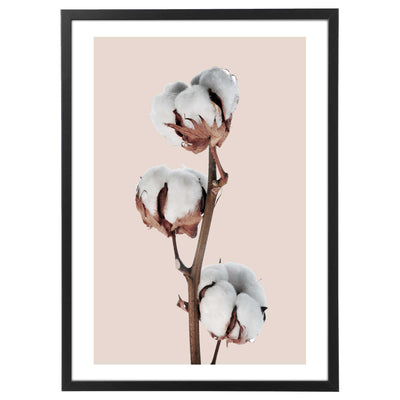 Quadro Natale -Cotton Flower Poster-Arterby's-
