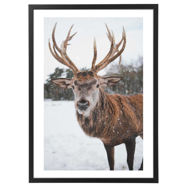 Quadro Natale - Winter Deer Animal Poster-Arterby&