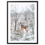Quadro Natale - Winter Animal Poster-Arterby's-