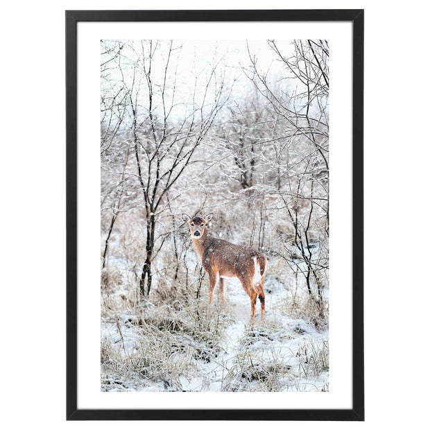 Quadro Natale - Winter Animal Poster-Arterby&