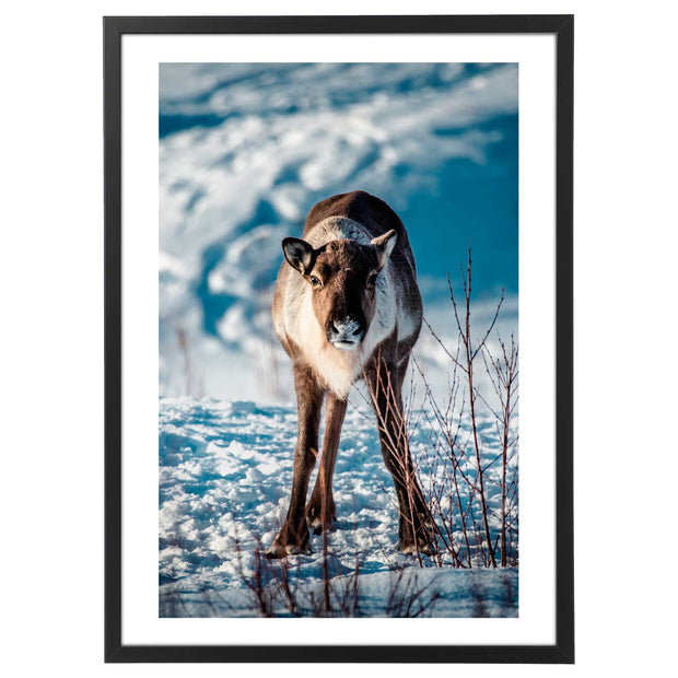 Quadro Natale - Winter Animal No2 Poster-Arterby&
