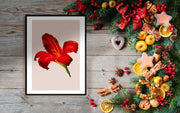 Quadro Natale - Flower Red Lily Poster-Arterby's-