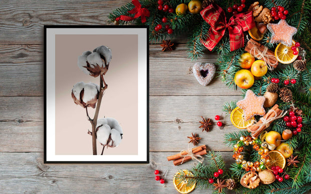 Quadro Natale -Cotton Flower Poster-Arterby&